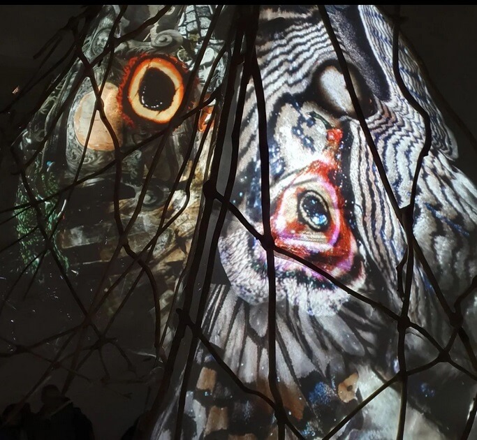 Trafo Gallery